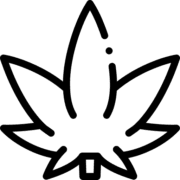 cannabis (1)